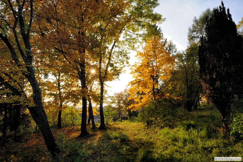 GAINFARN