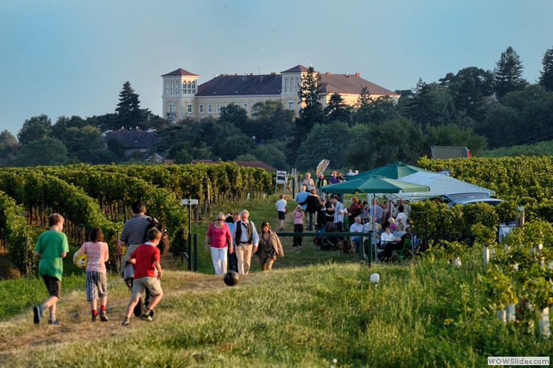 UMFELD