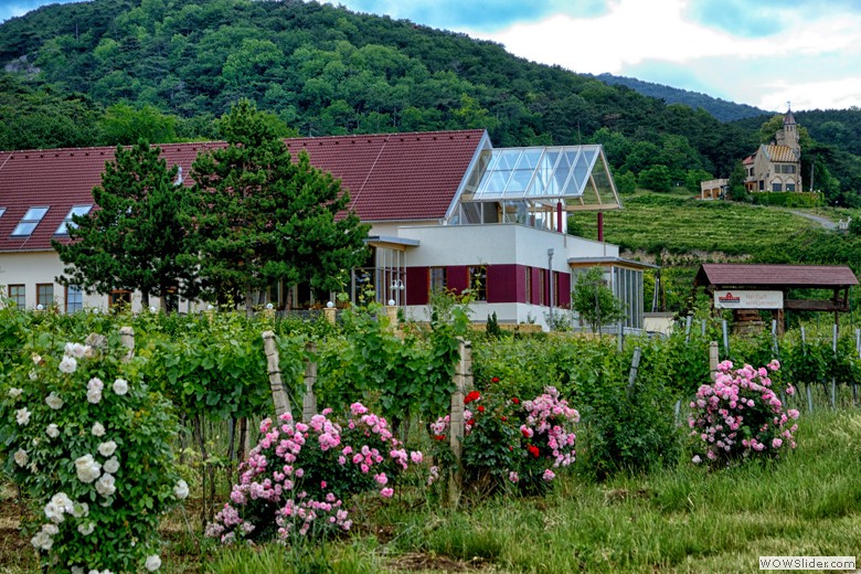 UMFELD
