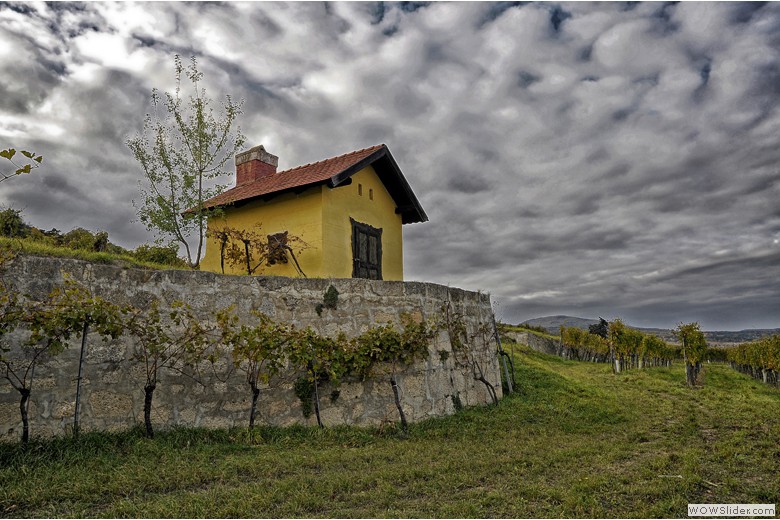 LANDSCHAFT