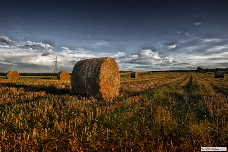 LANDSCHAFT