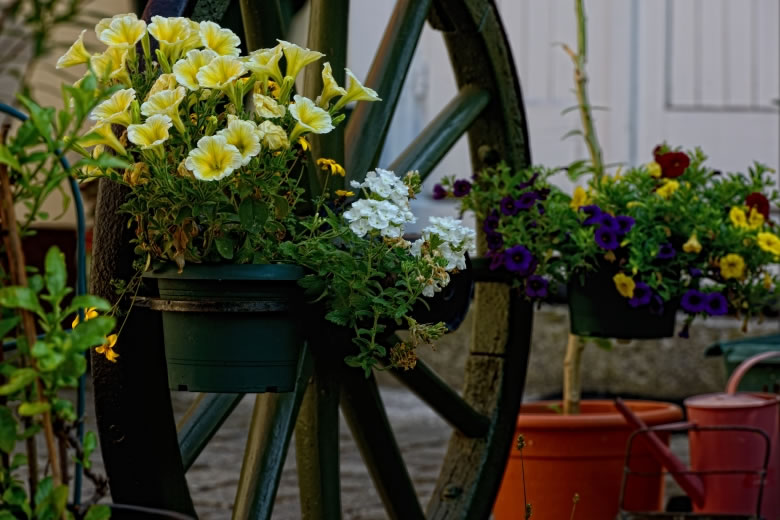 Sommer